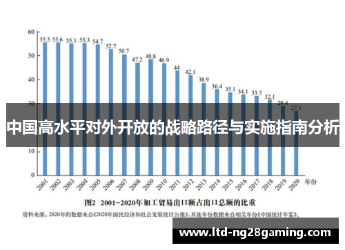 中国高水平对外开放的战略路径与实施指南分析 中国高水平对外开放的战略路径与实施指南分析