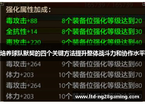 培养球队默契的四个关键方法提升整体战斗力和协作水平 培养球队默契的四个关键方法提升整体战斗力和协作水平