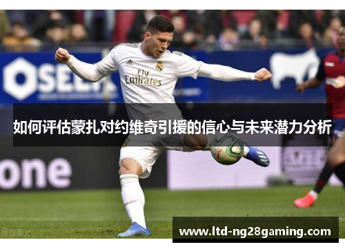 如何评估蒙扎对约维奇引援的信心与未来潜力分析 如何评估蒙扎对约维奇引援的信心与未来潜力分析