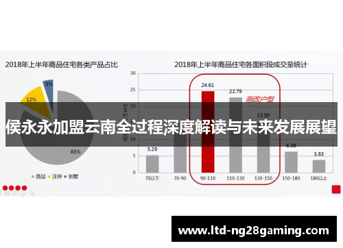 侯永永加盟云南全过程深度解读与未来发展展望 侯永永加盟云南全过程深度解读与未来发展展望