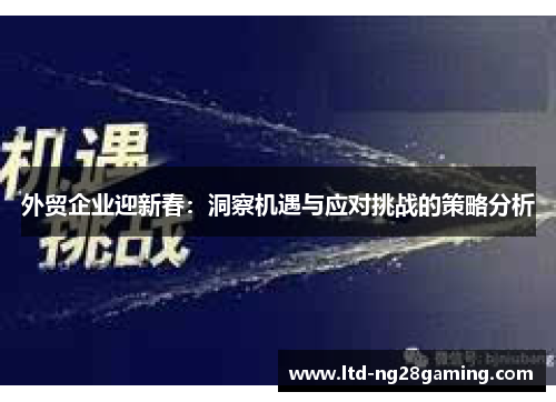 外贸企业迎新春:洞察机遇与应对挑战的策略分析 外贸企业迎新春:洞察机遇与应对挑战的策略分析