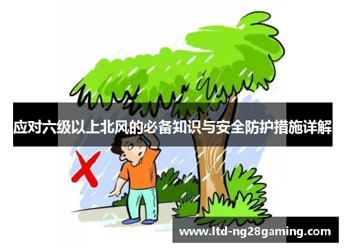 应对六级以上北风的必备知识与安全防护措施详解 应对六级以上北风的必备知识与安全防护措施详解