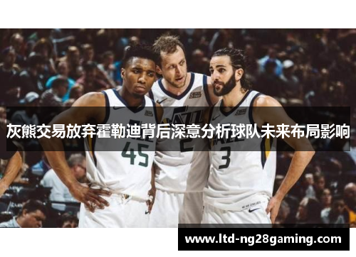 灰熊交易放弃霍勒迪背后深意分析球队未来布局影响 灰熊交易放弃霍勒迪背后深意分析球队未来布局影响