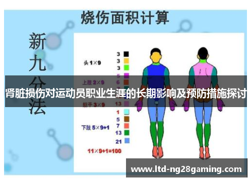 肾脏损伤对运动员职业生涯的长期影响及预防措施探讨