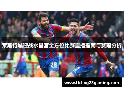 莱斯特城迎战水晶宫全方位比赛直播指南与赛前分析 莱斯特城迎战水晶宫全方位比赛直播指南与赛前分析