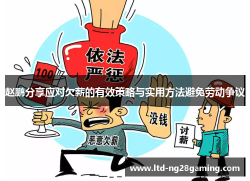 赵鹏分享应对欠薪的有效策略与实用方法避免劳动争议