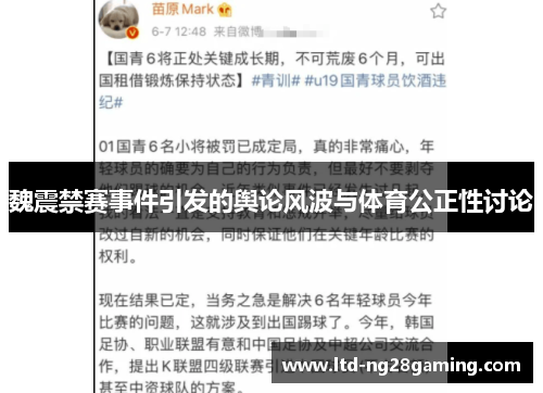魏震禁赛事件引发的舆论风波与体育公正性讨论 魏震禁赛事件引发的舆论风波与体育公正性讨论