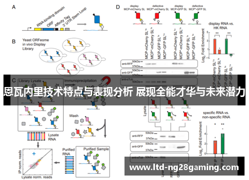 恩瓦内里技术特点与表现分析 展现全能才华与未来潜力 恩瓦内里技术特点与表现分析 展现全能才华与未来潜力