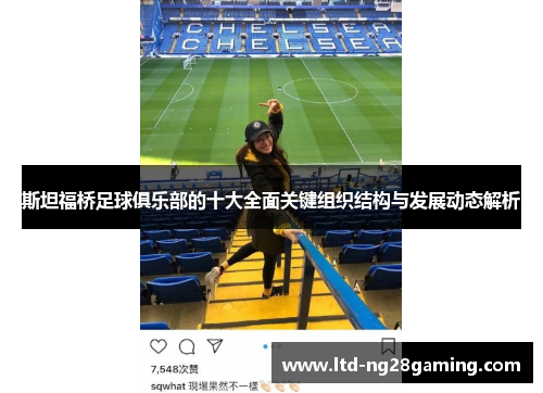 斯坦福桥足球俱乐部的十大全面关键组织结构与发展动态解析 斯坦福桥足球俱乐部的十大全面关键组织结构与发展动态解析