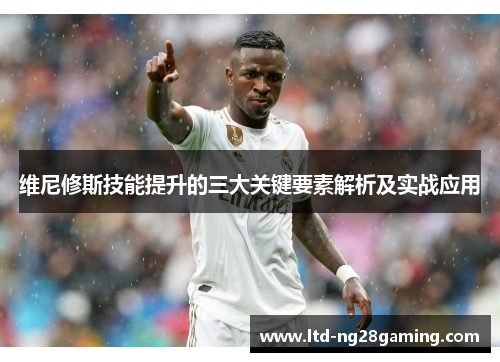 维尼修斯技能提升的三大关键要素解析及实战应用