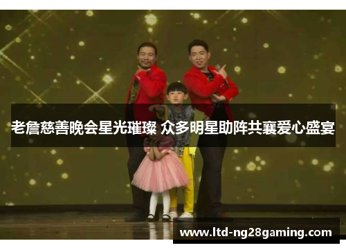 老詹慈善晚会星光璀璨 众多明星助阵共襄爱心盛宴